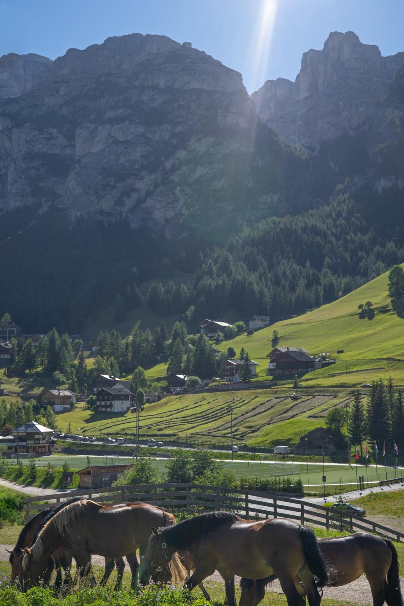 Apartements Precalalt La Villa (Trentino Alto Adige) Exterior foto