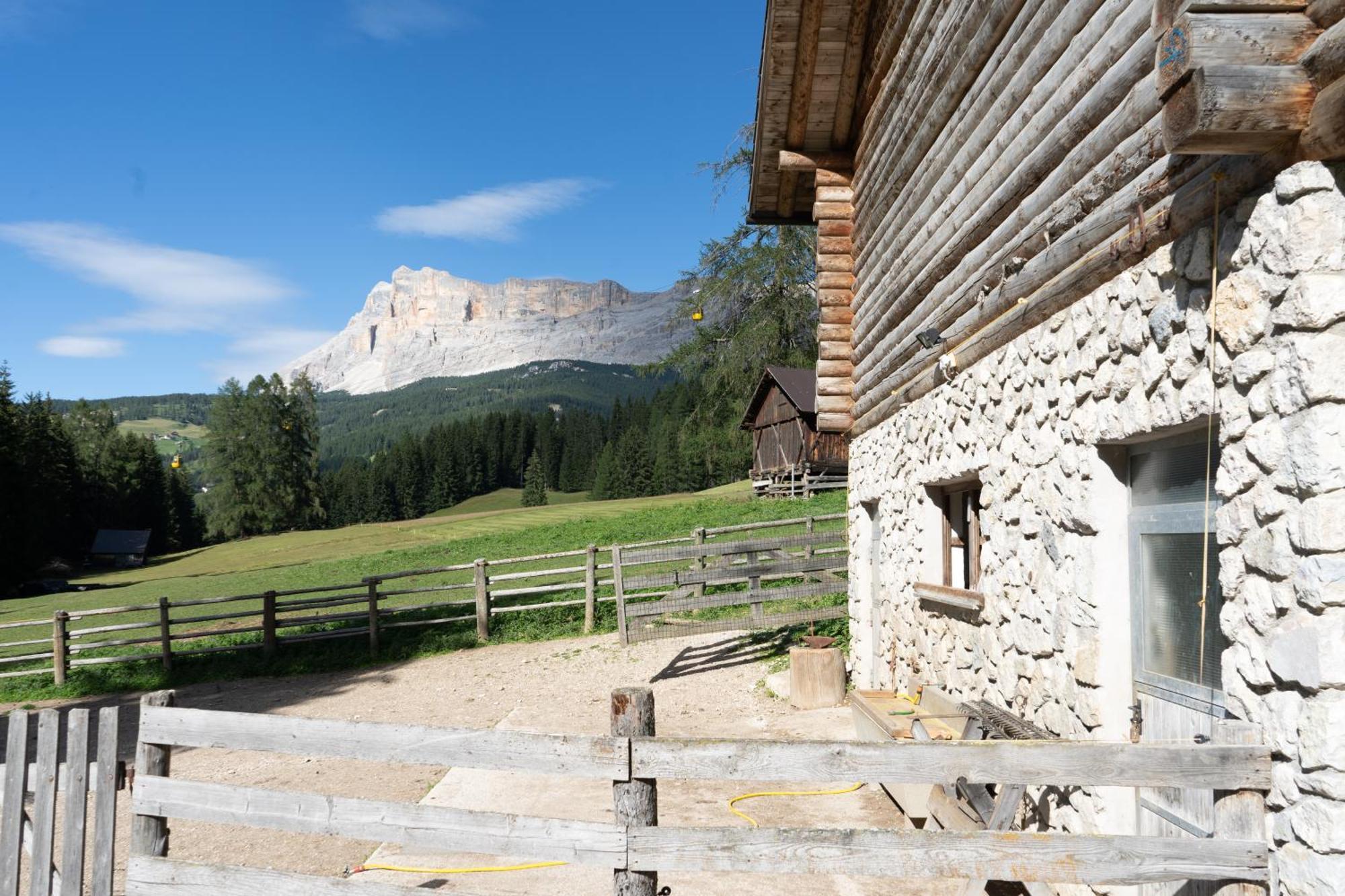 Apartements Precalalt La Villa (Trentino Alto Adige) Exterior foto