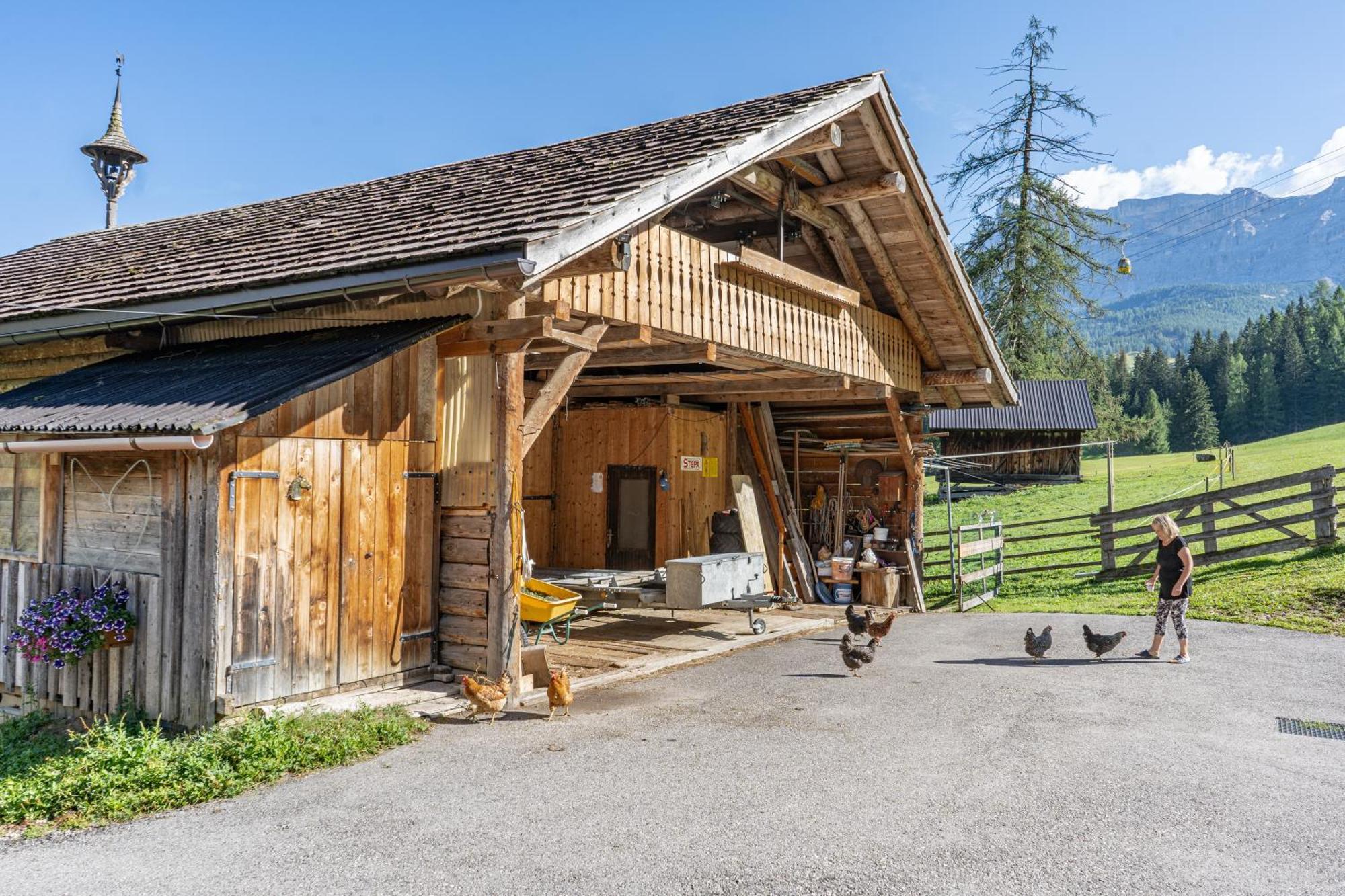 Apartements Precalalt La Villa (Trentino Alto Adige) Exterior foto